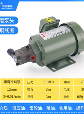 厂家直销摆线泵TOP-12a三角润滑泵 电动机油齿轮油泵380V