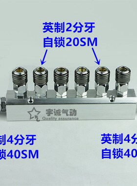 高档气排带自锁快速接头多管路直通多路分气排气路分配器带安装孔