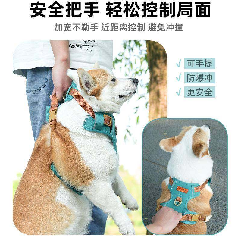 狗狗牵引出绳968背心式遛狗外绳宠物胸背熊大中小型犬金毛柯基比,淘宝优惠券,粉丝福利购,淘宝优惠卷