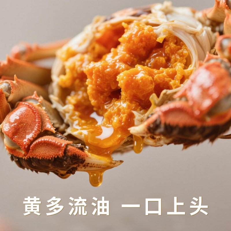 【淘宝闪购】阳澄湖老船长鲜活大闸蟹2只装起卖,淘宝优惠券,粉丝福利购,淘宝优惠卷