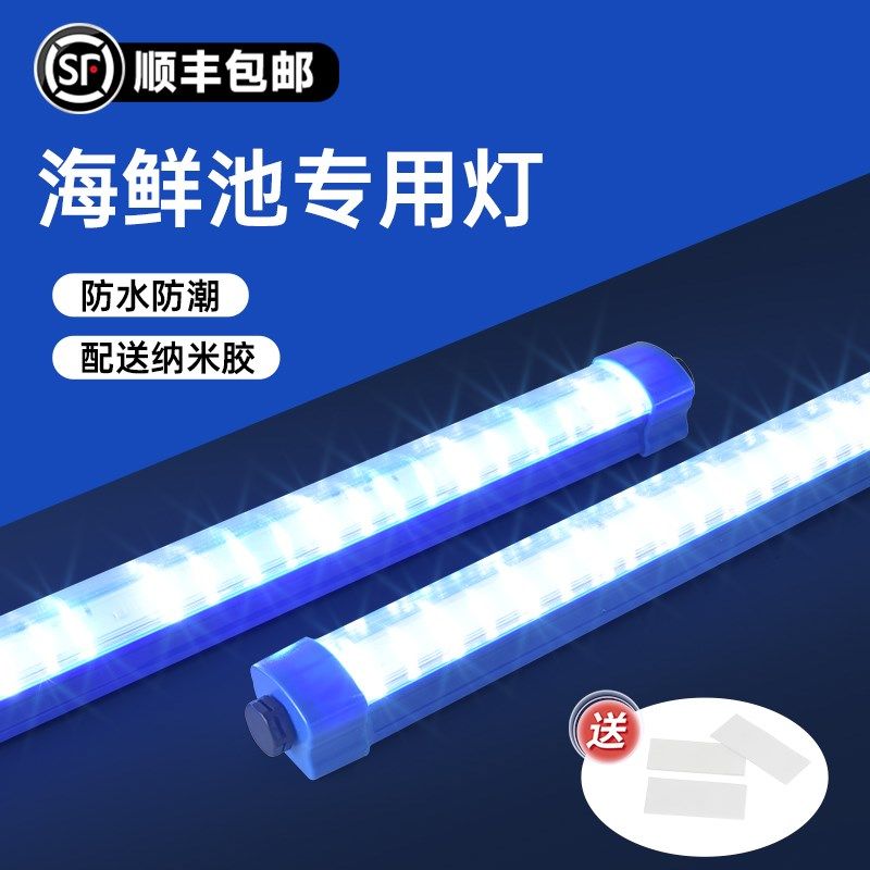 海鲜池专用灯鱼缸鱼池水产蓝色照明直插式免安装防水长条led灯管,淘宝优惠券,粉丝福利购,淘宝优惠卷