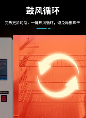 电热恒温鼓风干燥箱工业烘箱实验室烘干机防潮箱真空高温箱烘烤箱