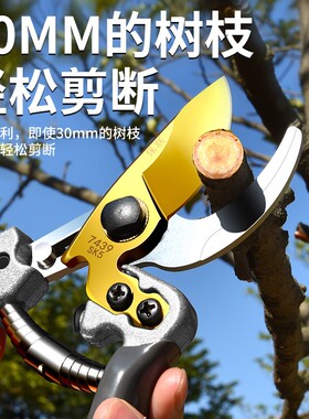 园艺剪枝剪刀修枝剪粗枝剪园林花艺剪子修剪树枝专用省力剪切工具
