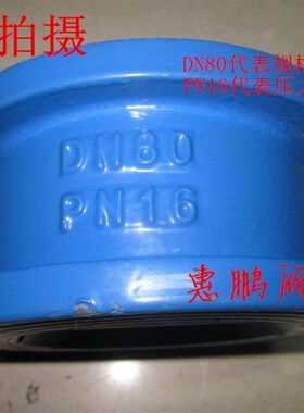 阀门 铸铁对夹式蝶型止回阀/单向阀/逆止阀 DH77X-16 DN40-300