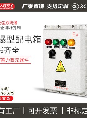 人民水泵防爆控制箱接线开关控制箱配电箱电机控制柜380V一用一备