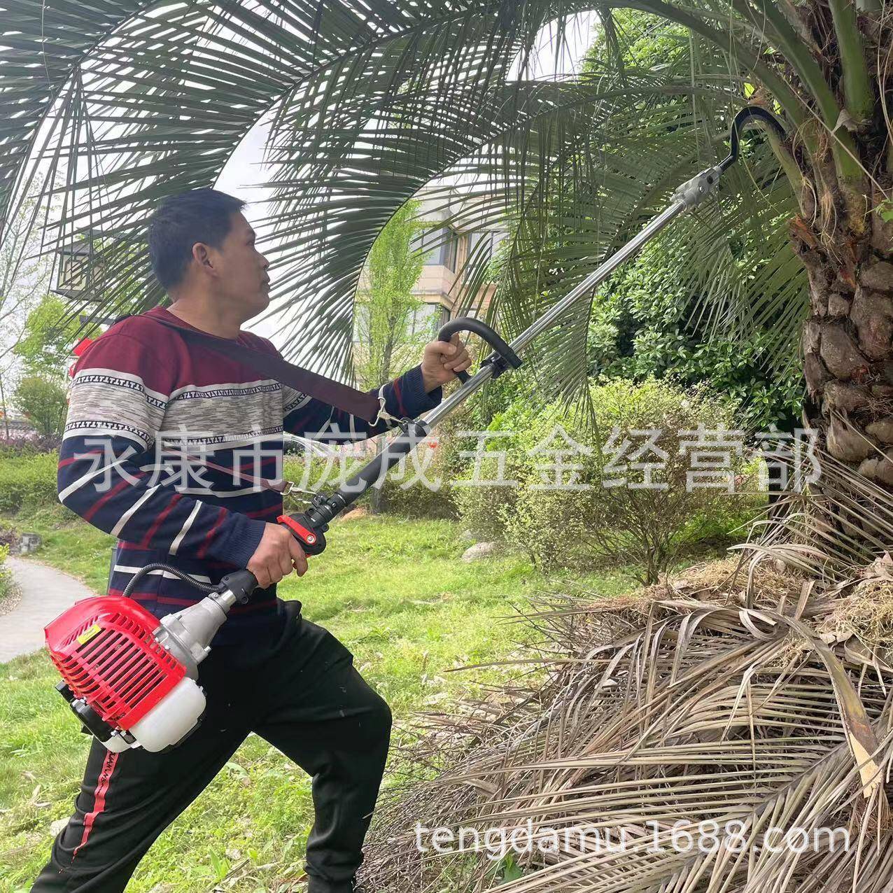 二林冲程汽油棕榈机长柄园棕绿化榈树修2888剪机加杆长棕榈果收获 - 图1