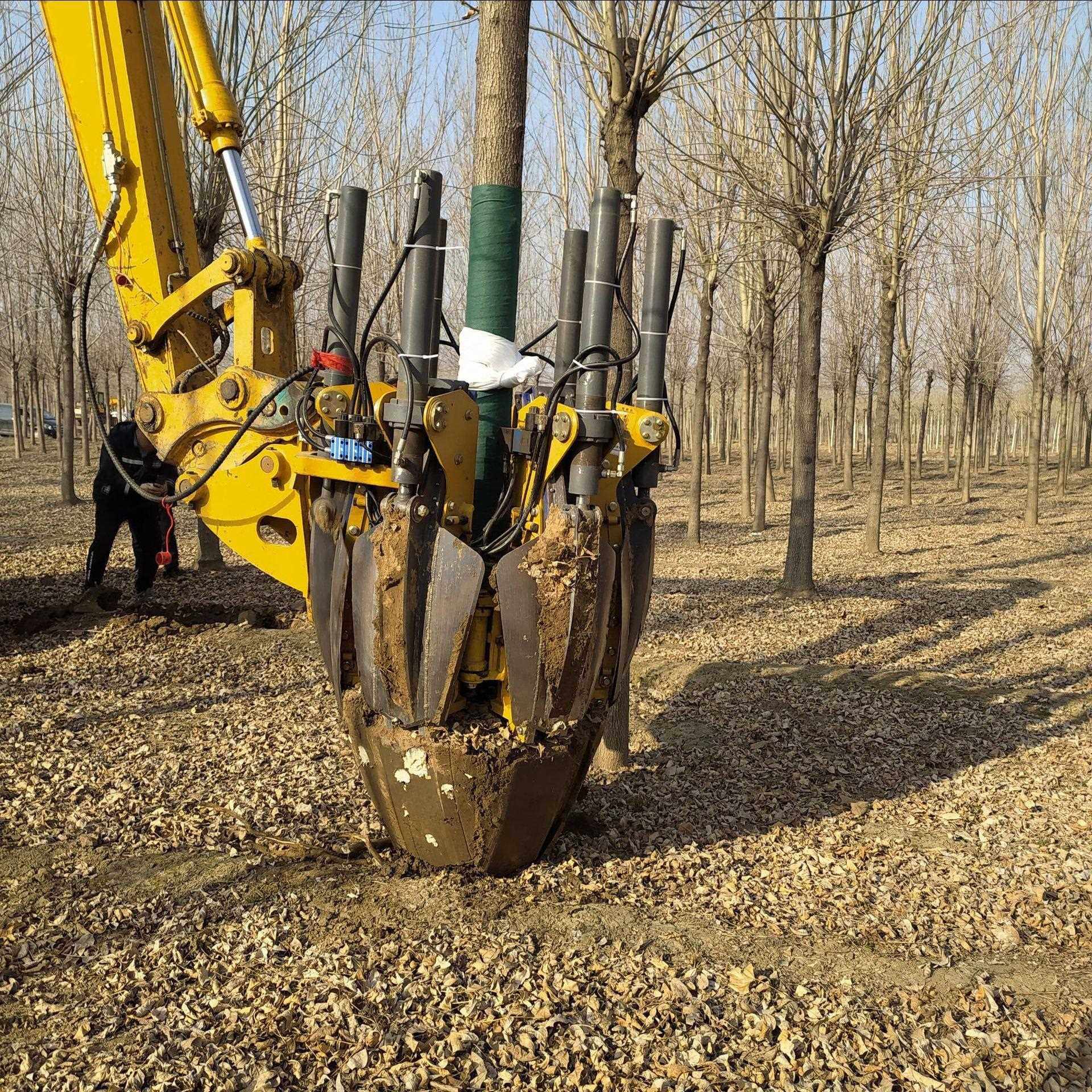 全自动六瓣铲式挖树机带土球液压起树机尖铁铲120公分土球移树,淘宝优惠券,粉丝福利购,淘宝优惠卷