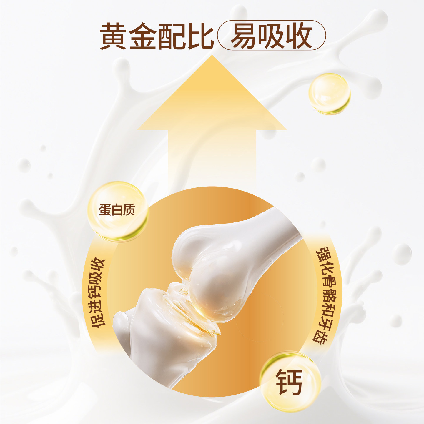 瑞健利康双参灵芝高钙蛋白粉中老年人补充营养提高免疫脱脂乳粉