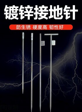 接地针接地桩接地线避雷针接地极防雷装置接地棒接地钉防雷针镀锌