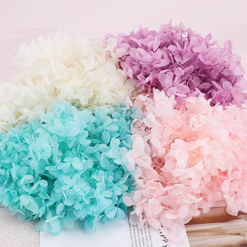 永生花木绣球 手工diy制作干花材料婚庆布置小叶绣球干花安娜绣球 - 图2