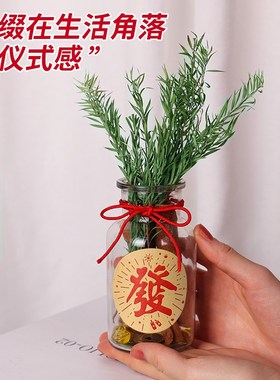 肉桂生财瓶摆件招财玻璃瓶花瓶diy材料客财厅位乔迁新居搬家用