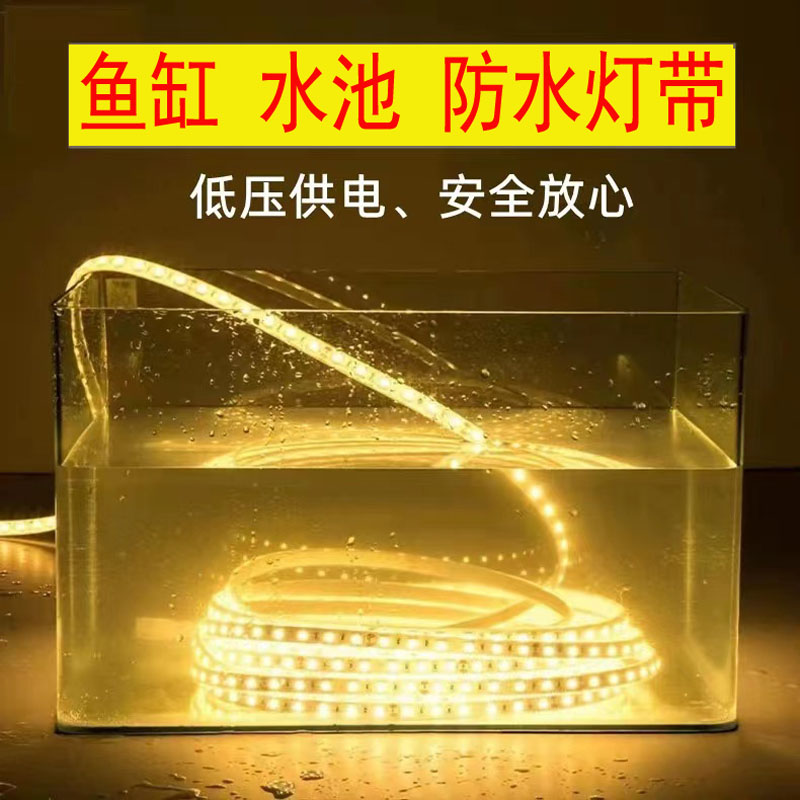 鱼缸水缸灯带水底灯条led低压安全12v24v实心灌胶防水可泡水家用 - 图1