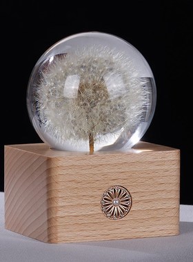 蒲公英植物标本水晶球夜灯摆件桌面装饰生日送女友老师.毕业季礼
