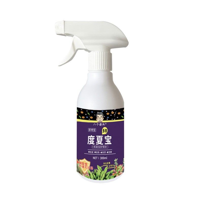 多肉度夏宝防黑腐多肉度夏卫士多肉渡夏宝黑腐病专U用根急救宝肥 - 图3