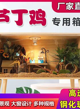 芦丁鸡饲养箱全套育雏养殖木箱子仓鼠房子实木豪华恒温造景大别墅