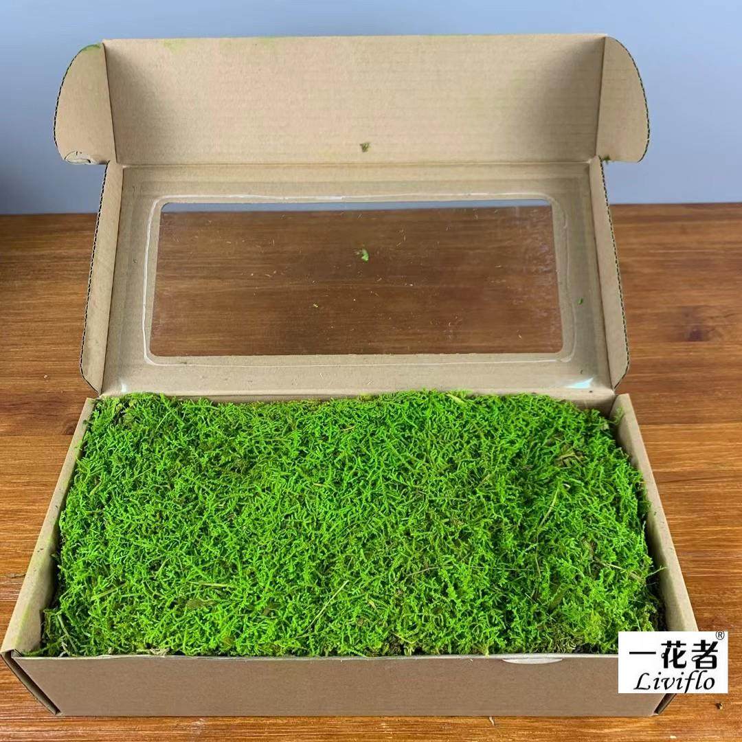 花者永生白发藓大灰藓块 微景观瓶DIY材料永生苔藓现货,淘宝优惠券,粉丝福利购,淘宝优惠卷