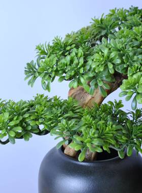 新中式家电居盆景仿真迎松罗汉松根雕M00082摆件客柜客厅视柜玄关