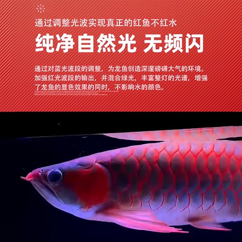 鱼缸灯led专用观赏照明节能RGB潜水增艳变色氛围高亮龙鱼神灯防水 - 图2