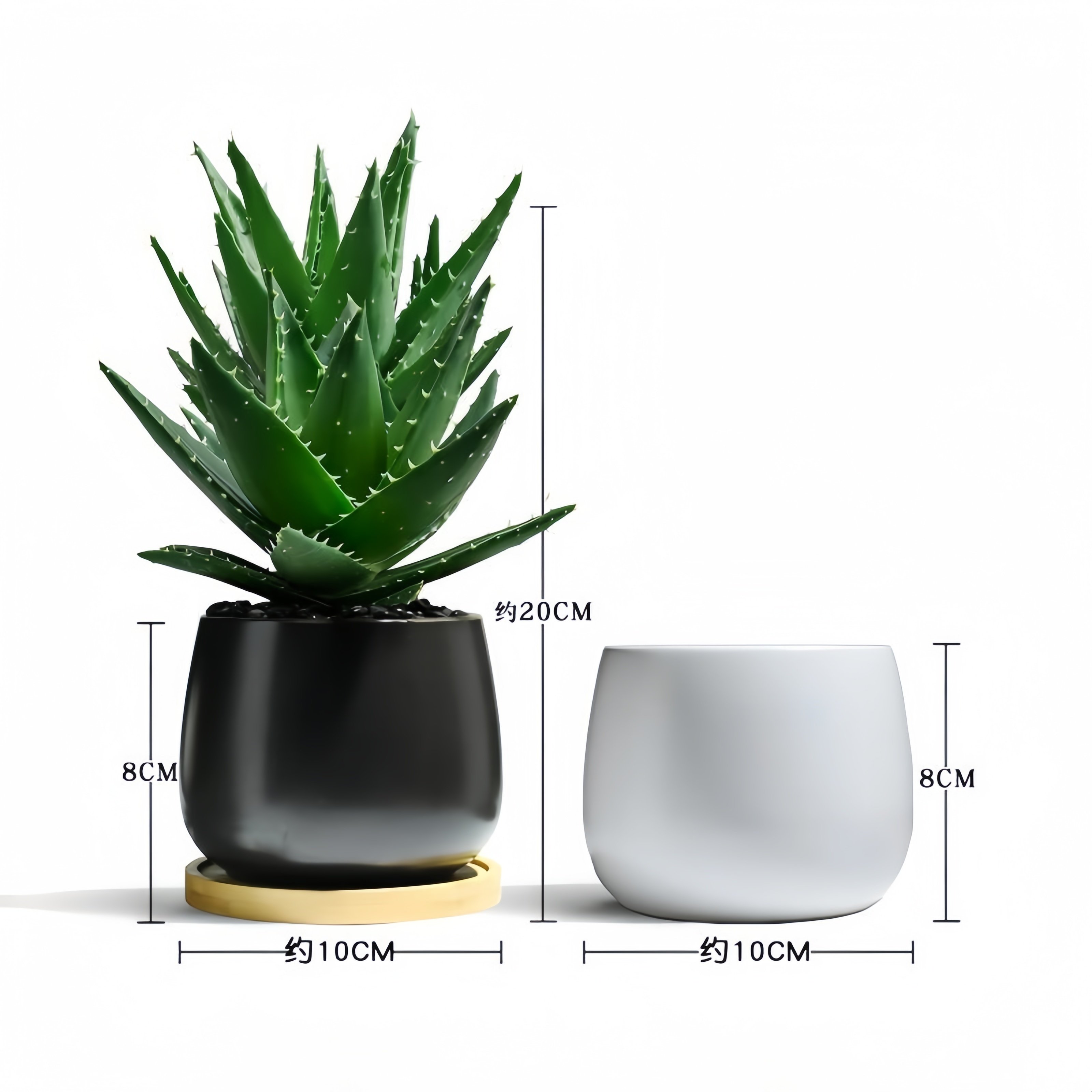 芦荟盆栽室内桌面绿植多肉耐旱含盆易养护办公室装饰植物四季常青,淘宝优惠券,粉丝福利购,淘宝优惠卷