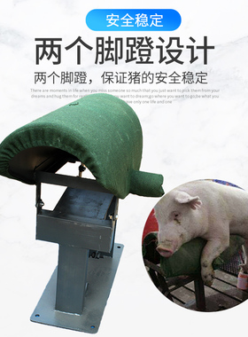 猪人工授精设备公猪采精台加厚海绵采精架假母台兽用配种养猪设备