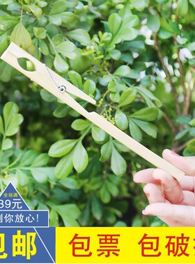 试管夹 木头夹子竹制试管夹化学实验室玻璃试管配套用木质试管夹