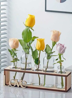 水培小花瓶创意玻璃绿萝透明小清新客厅桌面装饰摆件X水养植物插