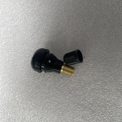 四轮沙滩车卡丁车摩托车配件真空轮胎气嘴 气门芯 - 图1