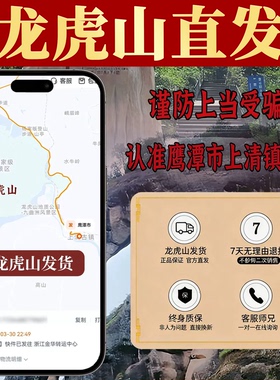 龙虎山雷击木迷你乾坤圈挂件六星七星紫薇讳金光九字十字阴阳环