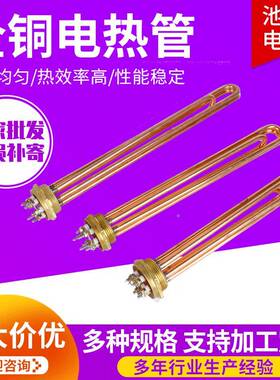 全铜烧水电热管加热棒HTY水DN50DN40箱热加管3/9/1全2KW铜加热管