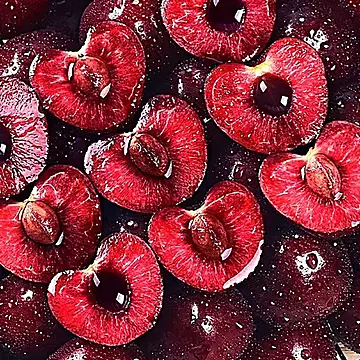 原箱礼盒进口车厘子新鲜水果2J5斤装[20元优惠券]-寻折猪