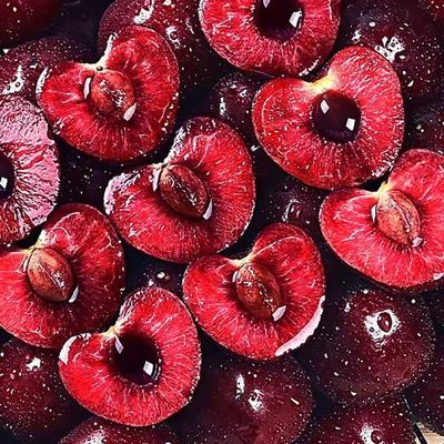 现货进口智利车厘子4jjjj大果进口樱桃桑缇娜顺丰/京东速运