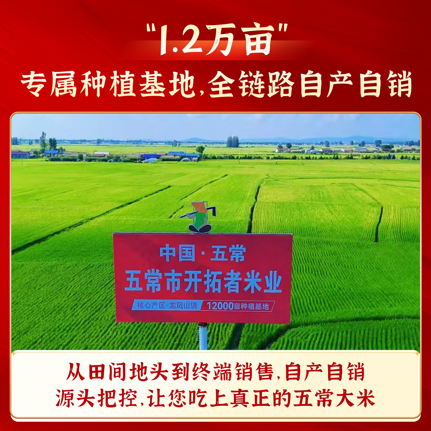 2025新米特等有机东北五常大米稻花香2号官方旗舰店正宗黑龙江5kg,淘宝优惠券,粉丝福利购,淘宝优惠卷