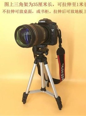 时尚款单反相机模型/机s身+镜头一套/样板间摆件/模特道具逼真