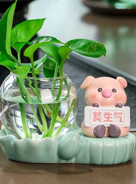 创意莫生气卡g通动物公件水培绿萝客厅玄关家居装饰桌面解压小摆