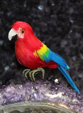 仿真羽毛鹦鹉 金刚鹦鹉工艺品 仿真鹦鹉 鹦鹉摆件 彩色羽毛鸟摆件