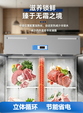 北佳索一级商用玻璃门风冷展示柜