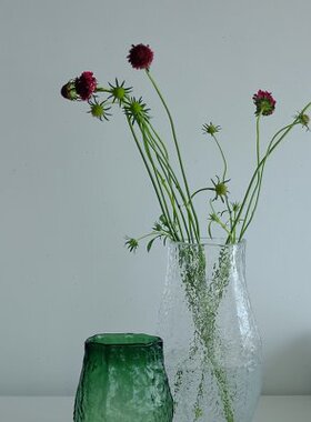 不规则玻璃工艺品插花花瓶家居摆件新款花瓶