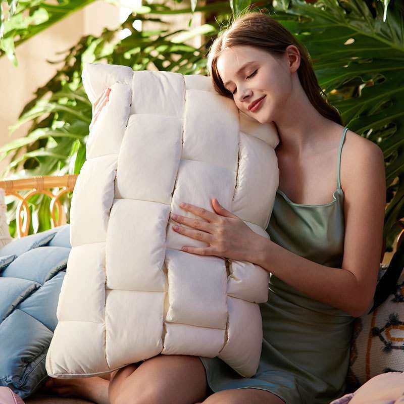 2025新款鹅绒分区睡眠枕芯学生宿舍单人枕纯色家用一对软枕,淘宝优惠券,粉丝福利购,淘宝优惠卷