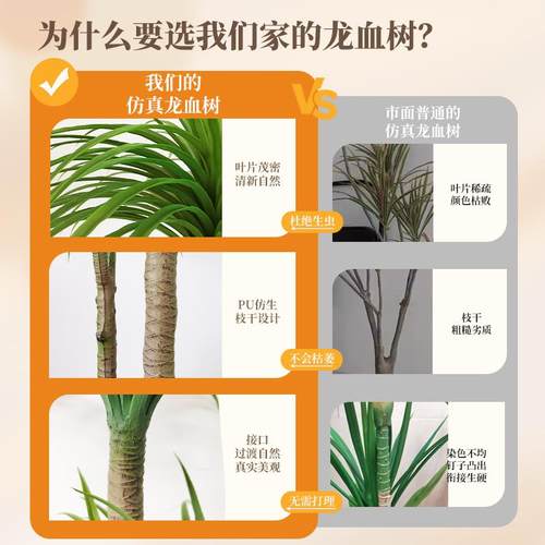 仿真绿植多头龙血树客厅室内大型轻奢仿生植物假盆栽沙发落地摆件 - 图3