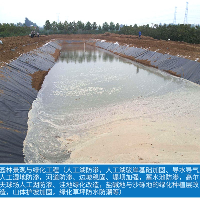 鱼塘防渗b膜加厚黑色土工膜护坡养殖膜防水布专用鱼池藕池膜蓄水 - 图3