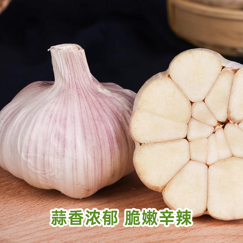 大夏臻品山东金乡大蒜头新鲜紫皮干蒜2025本地农家白皮独头蒜种子 - 图2