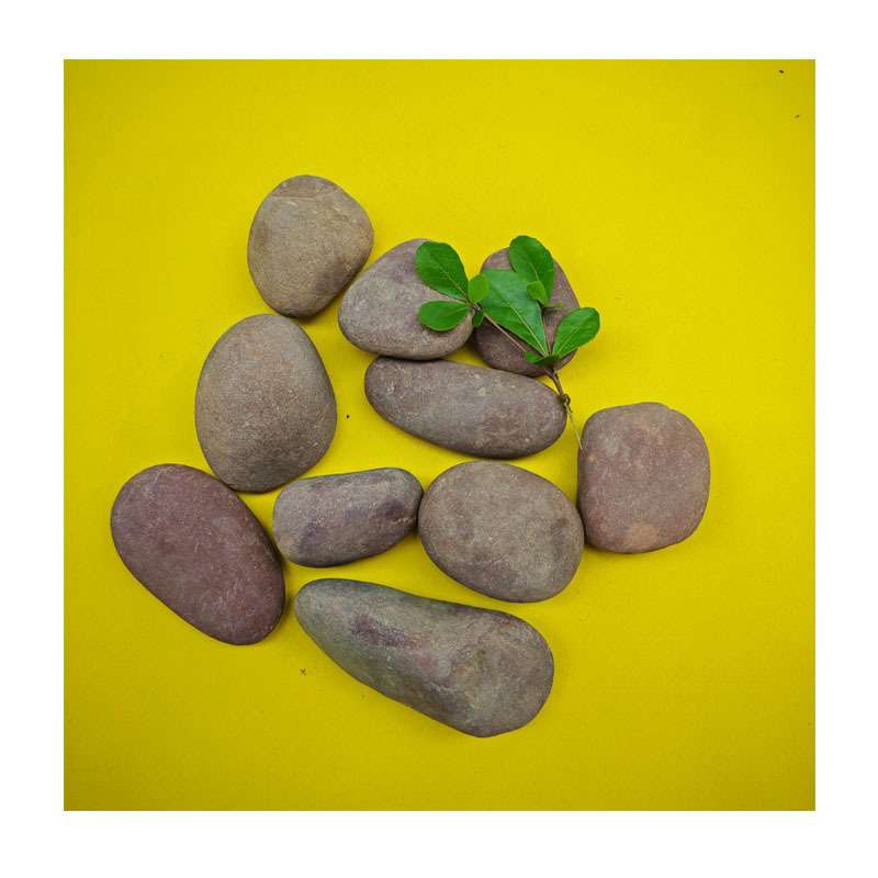 LEED认证复古水磨石米骨料 20-40mm水洗金黄石子 无机染色外墙 - 图1