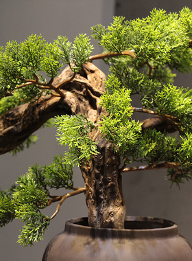 新中式风化木根雕迎客松盆景 陶瓷花盆禅意L摆件 倒流香软装博古