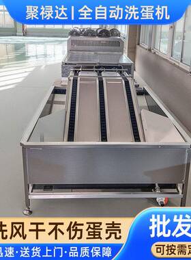 商用全自动洗蛋机卤鸡蛋鸭蛋清洗机 大型禽蛋类三排洗蛋机