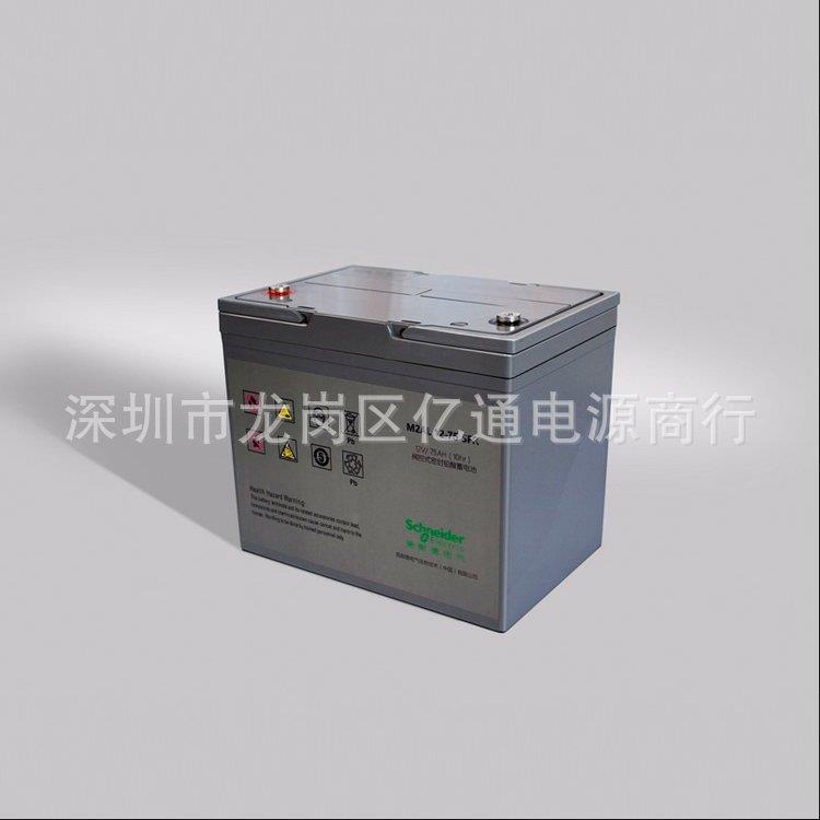 MGE梅兰日兰蓄电池M2AL12-120CFR 免维护铅酸蓄电池M2AL12-120 - 图1