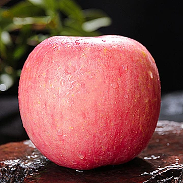 宏辉！新下树烟台红富士5斤[9元优惠券]-寻折猪