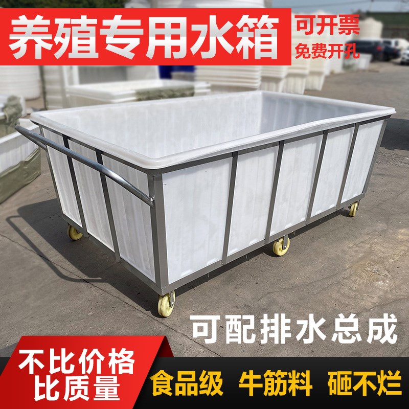 加厚大号牛筋塑料l水箱长方形储水桶水产养殖方桶养鱼卖鱼牛筋浅 - 图0