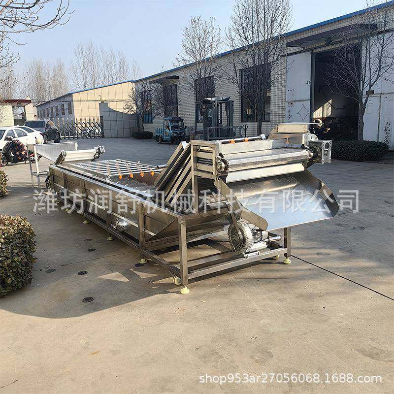 酸菜清洗脱盐设备大姜萝卜不锈钢清洗设备全自动果蔬气泡清洗机,淘宝优惠券,粉丝福利购,淘宝优惠卷