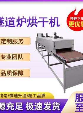 烘干线烤箱喷油线固化隧道炉恒温烘干机网带喷漆烤干丝印线