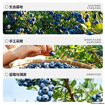 目青西！叶黄素酯蓝莓汁80g×4袋[21元优惠券]-寻折猪